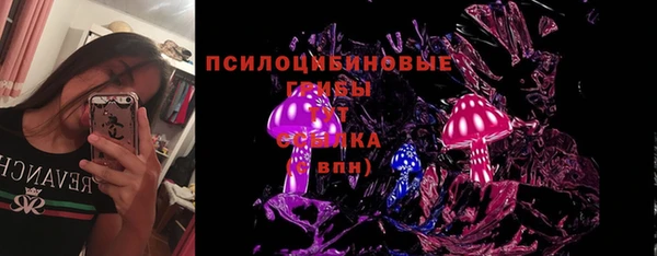 гашик Беломорск